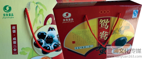 ʳƷbO(sh)Ӌ(j)-ޏV湫˾